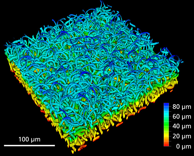 Hydrogel Zellgerüststruktur